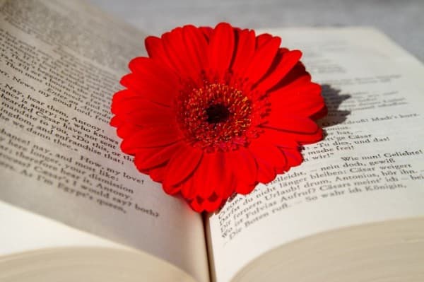 English Reading Circle — photo 1