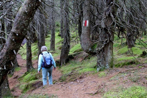 360° Biosphere, 9th Stage: Glaubenberg - Finsterwald — photo 1
