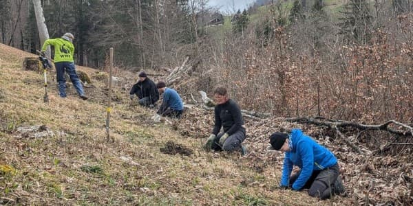 Connecting Nature – Hedge Planting at Hof Wannenwis — photo 1