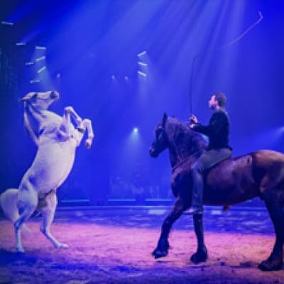 Swiss Equestrian Night at Circus Knie — photo 1