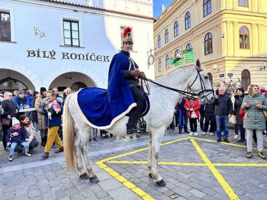 Svatomartinský košt vín v Třeboni — photo 1