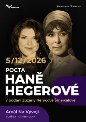 Tribute to Hana Hegerová in Vlašim — photo 1