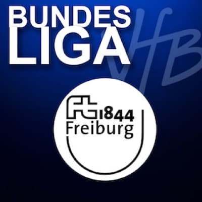 VfB Friedrichshafen - FT 1844 Freiburg — photo 1