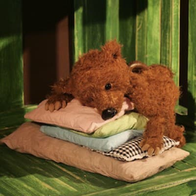 Figurentheater Pantaleon - Bär hat es schwer — photo 1