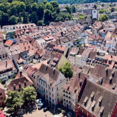 Freiburg for Beginners - Public City Tour Freiburg — photo 1