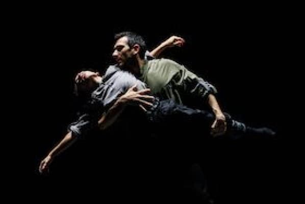 company Idem - Choices — photo 1