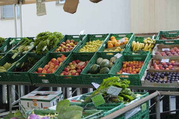Bio Wochenmarkt — photo 1