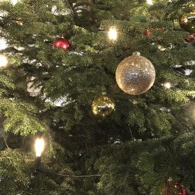 Family Christmas Service — photo 1