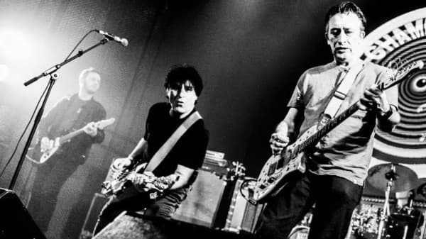 The Chameleons — photo 1