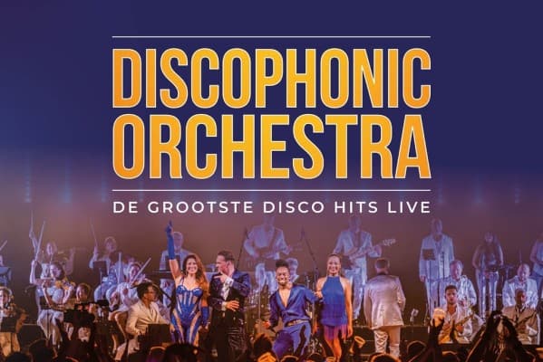 Discophonic Orchestra — photo 1
