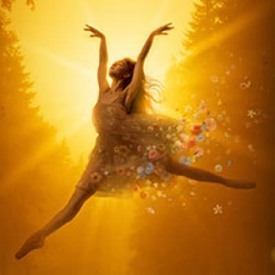 Les 4 Saisons - Ballet — photo 1