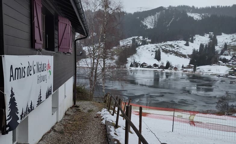 Resilienz durch Kälte-Resistenz — photo 1