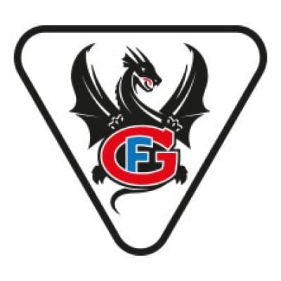 Fribourg-Gotteron - HC Ambri-Piotta — photo 1