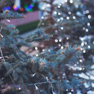 Altdorfer Christkindlimarkt — photo 1