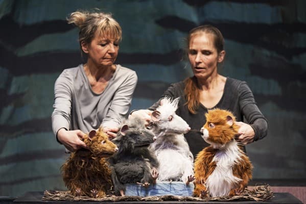 Die Muskeltiere — photo 1