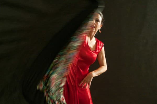 External Event: Flamenco Concert — photo 1