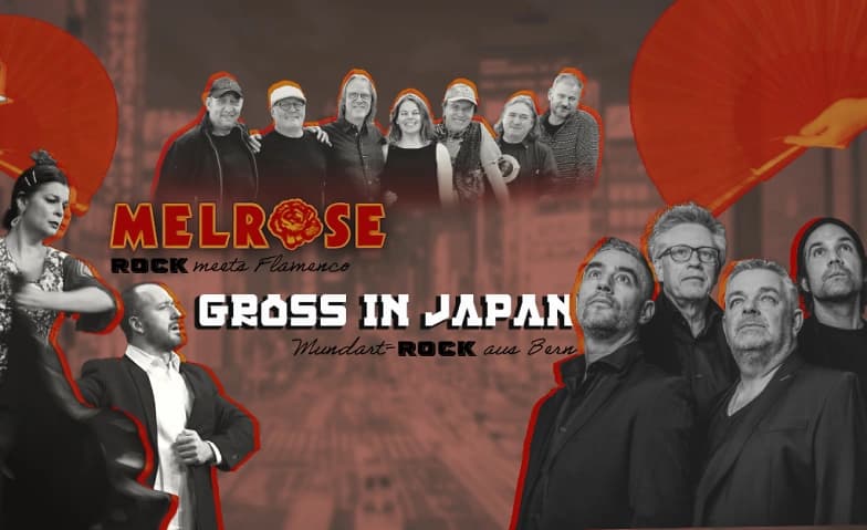 Melrose (Plattentaufe) & Gross in Japan Doppelkonzert — photo 1